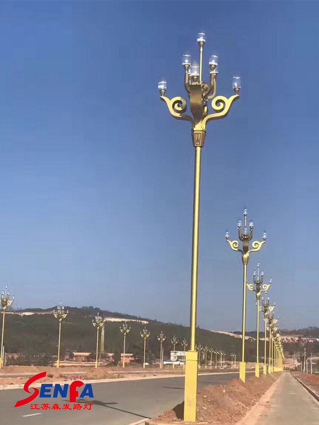 ZH-101