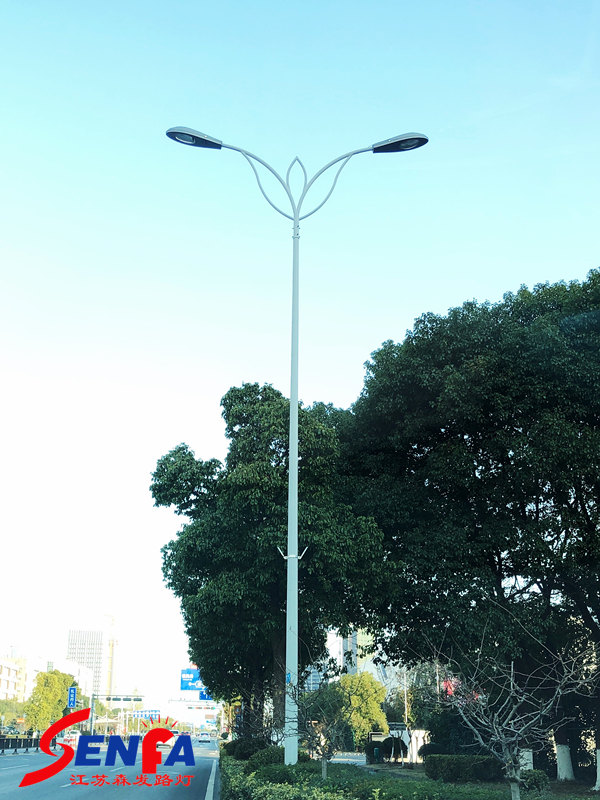 DL-1001